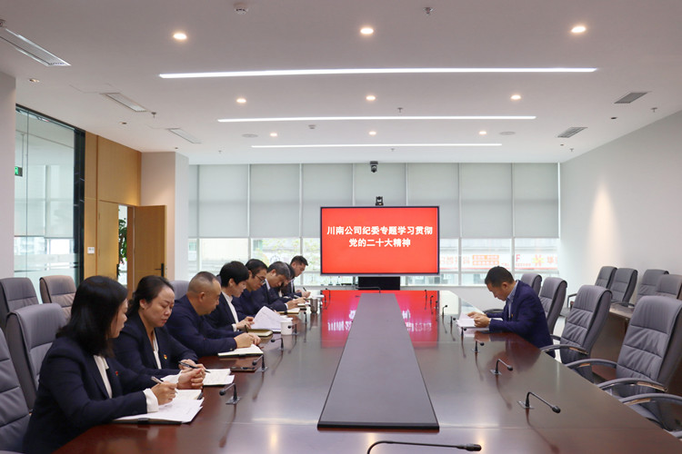 川南公司召開(kāi)紀(jì)檢專(zhuān)題工作會(huì)傳達(dá)學(xué)習(xí)黨的二十大精神_副本.jpg