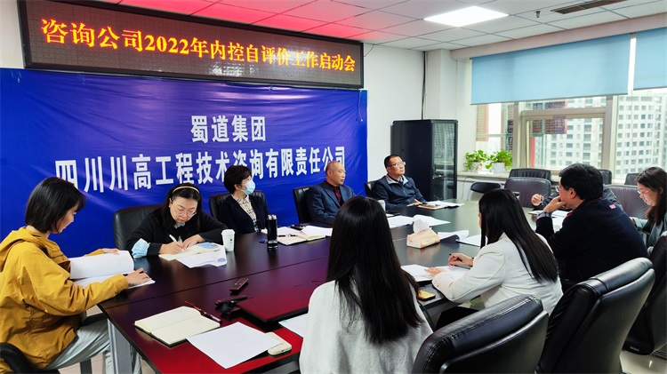 咨詢公司召開2022年內(nèi)控自評價工作啟動會.jpg