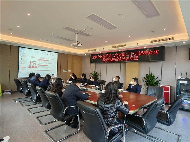 no594-成南公司第二黨支部召開二十大精神宣講會暨黨建聯(lián)系領導講黨課.jpg
