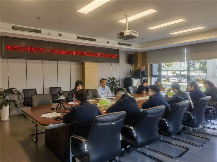 成南公司各黨支部組織召開2024年度組織生活會暨民主評議黨員大會.jpg