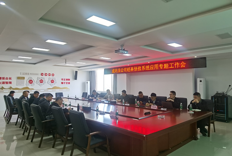 樁基快檢_副本.jpg